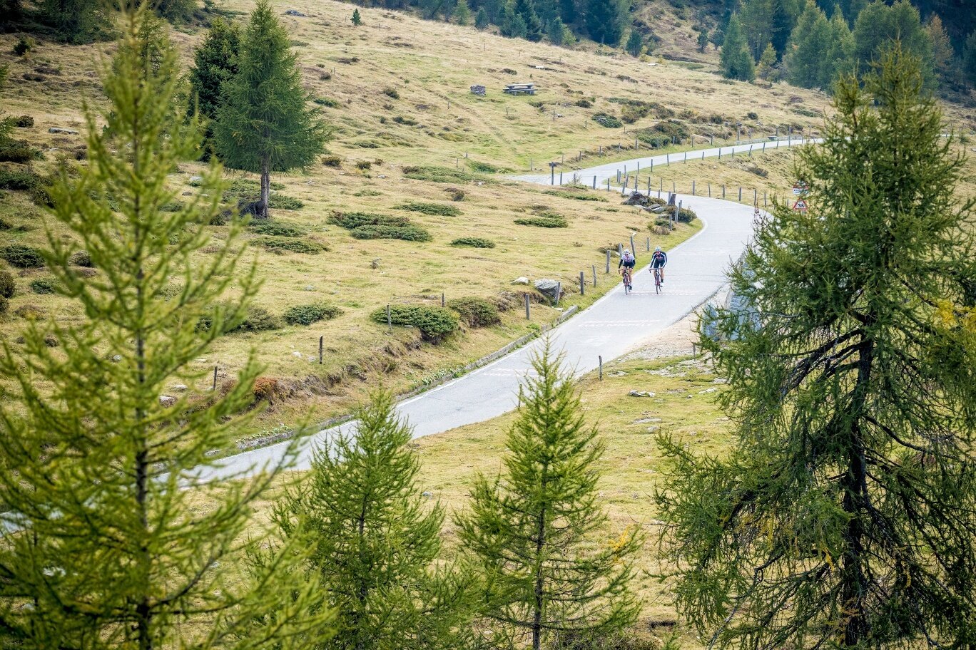 Img2 613746766 Default Variant