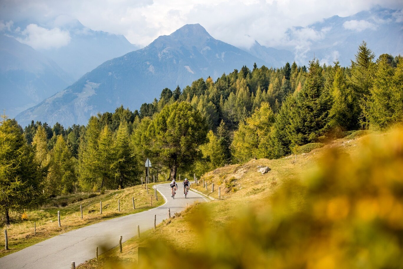 Img2 613746768 Default Variant