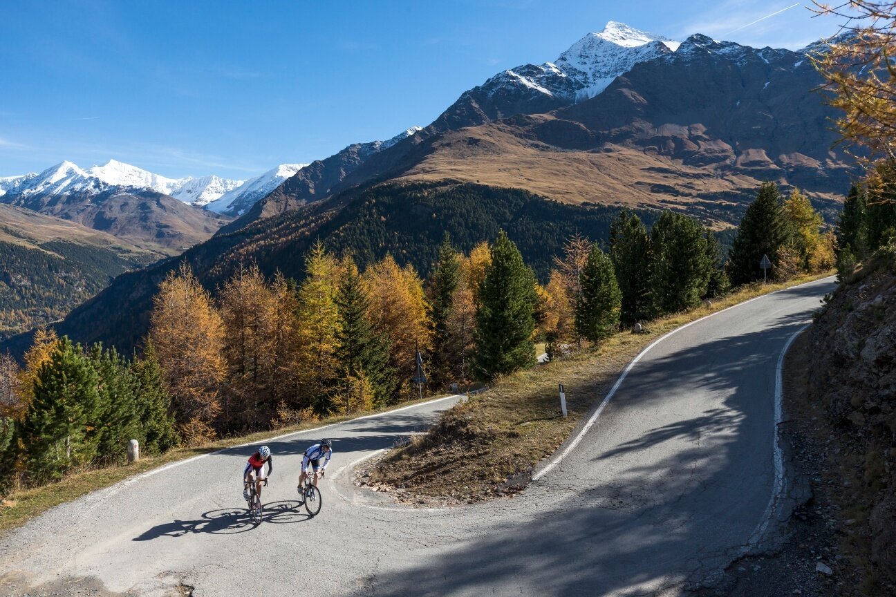 Img2 613737082 Default Variant