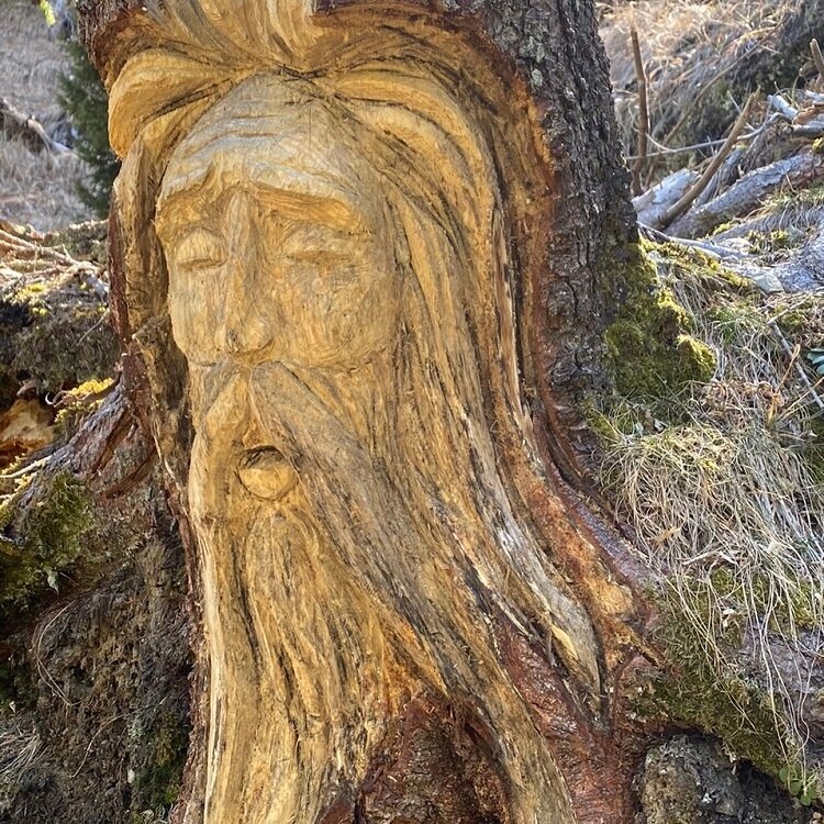 Stelvio Family Trek: Enchanted Forest: the magic of Omen del bo'šch