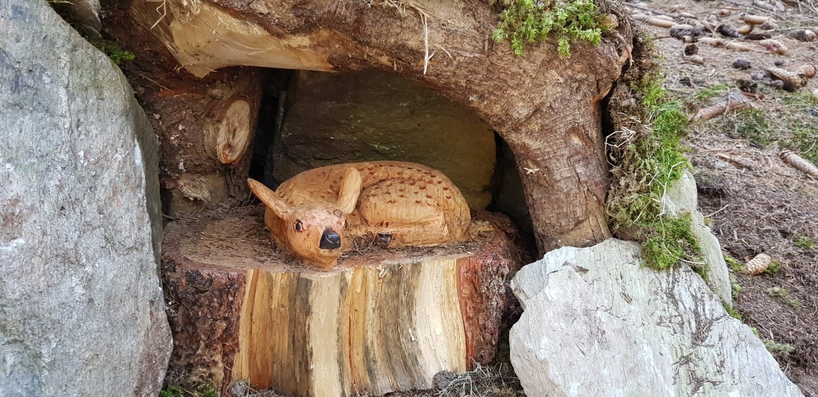 Img2 602859526 Default Variant