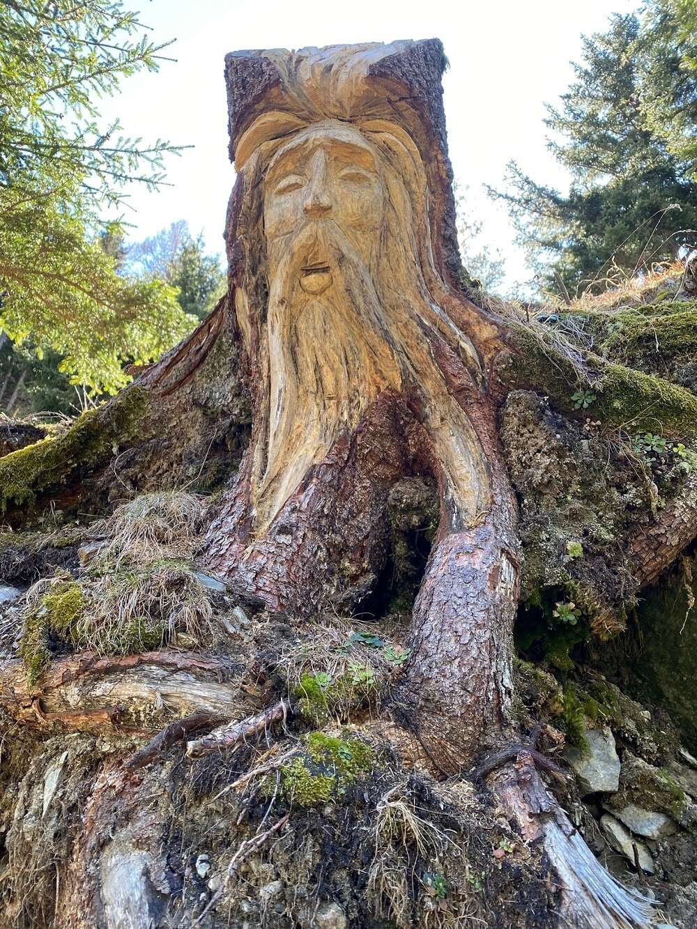 old wise man
