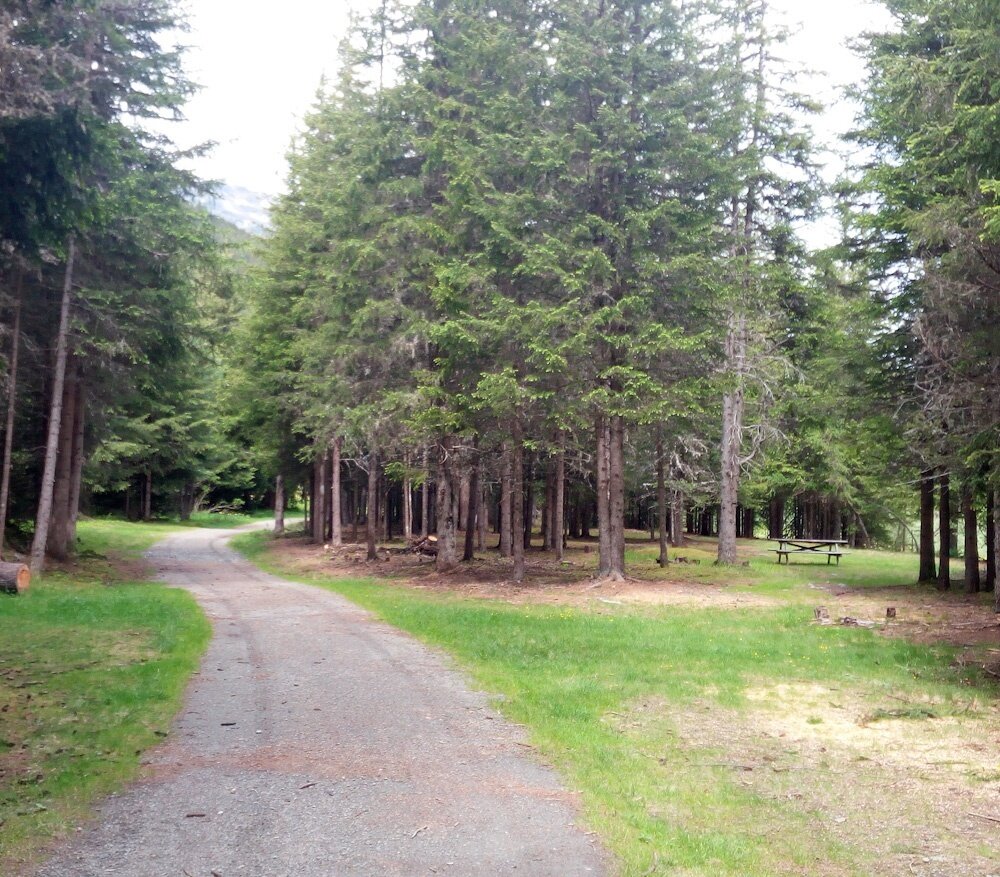 Pineta Parco Isola