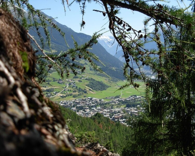 Stelvio Family Trek: Pedemontana della Reit
