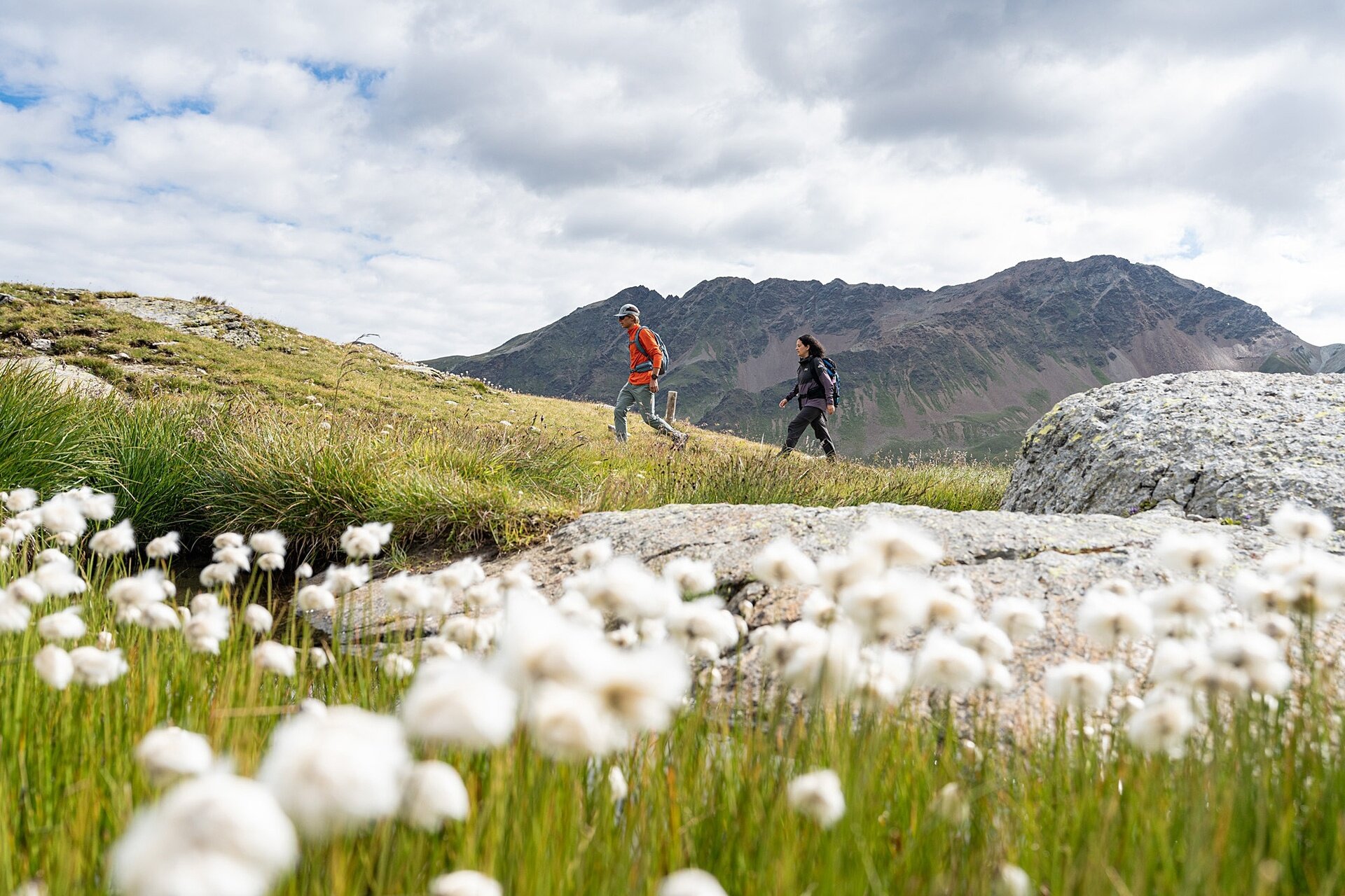 Img2 618885188 Default Variant