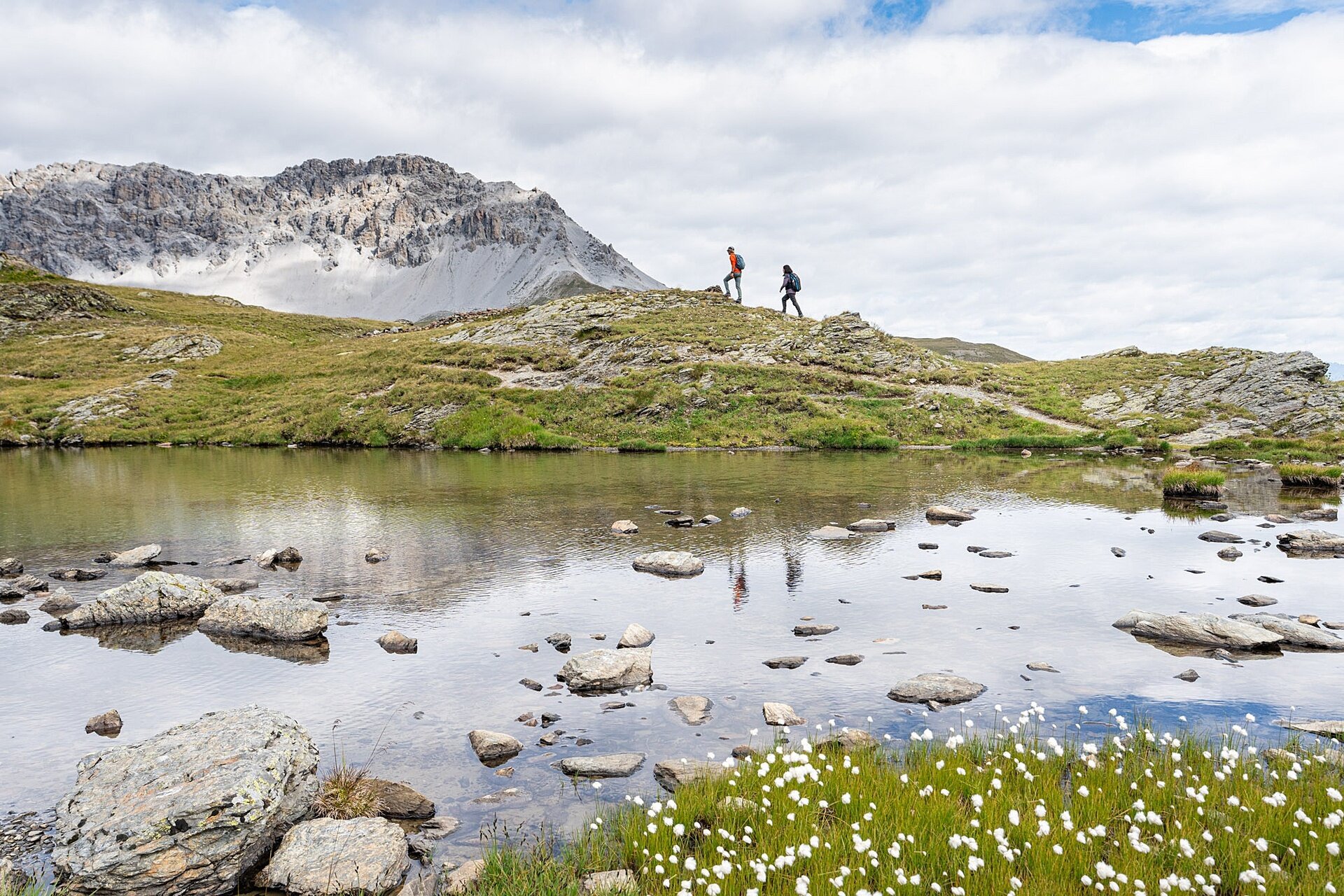 Img2 618885189 Default Variant