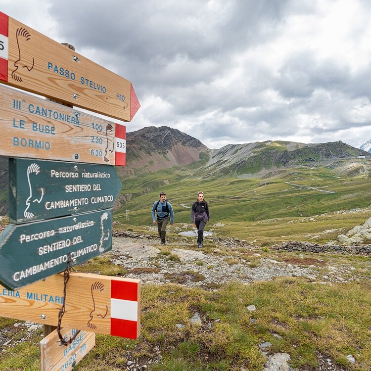 Stelvio Historical Trek: Filon dei Mott dal Passo Stelvio alla Quarta Cantoniera