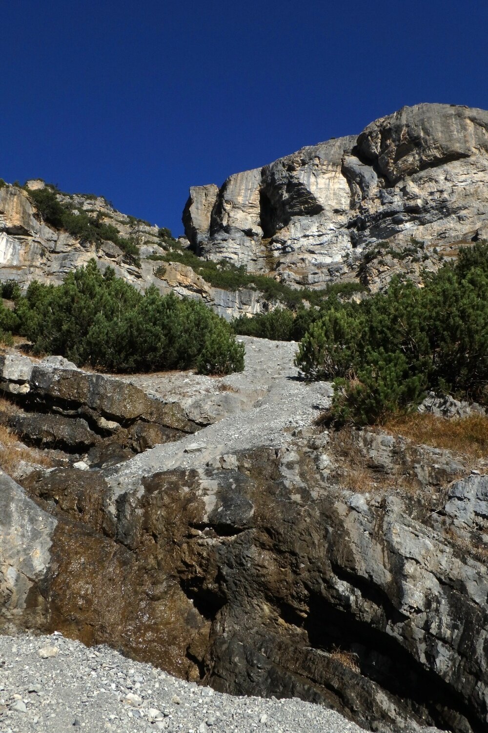 Img2 616364569 Default Variant