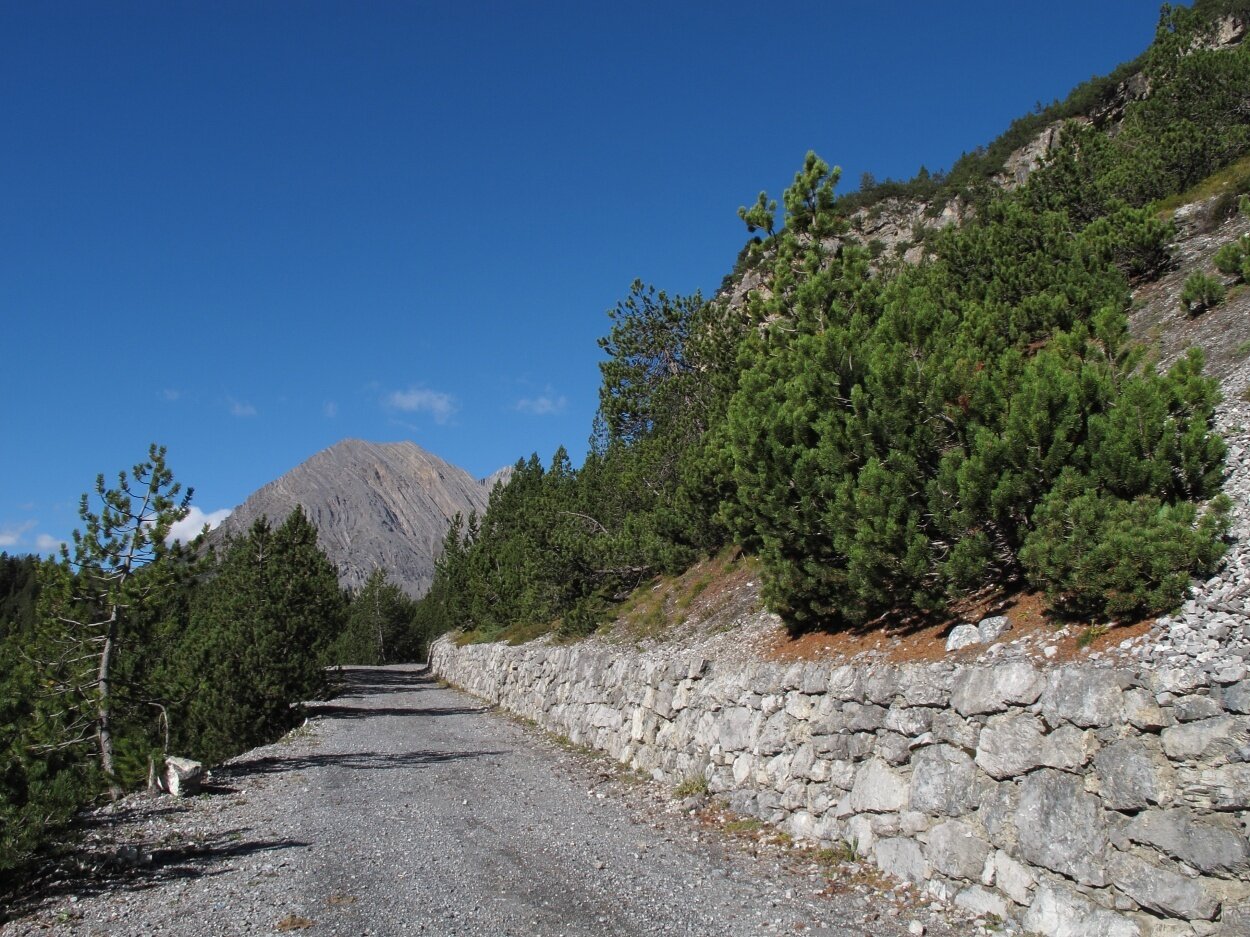 Img2 616364579 Default Variant