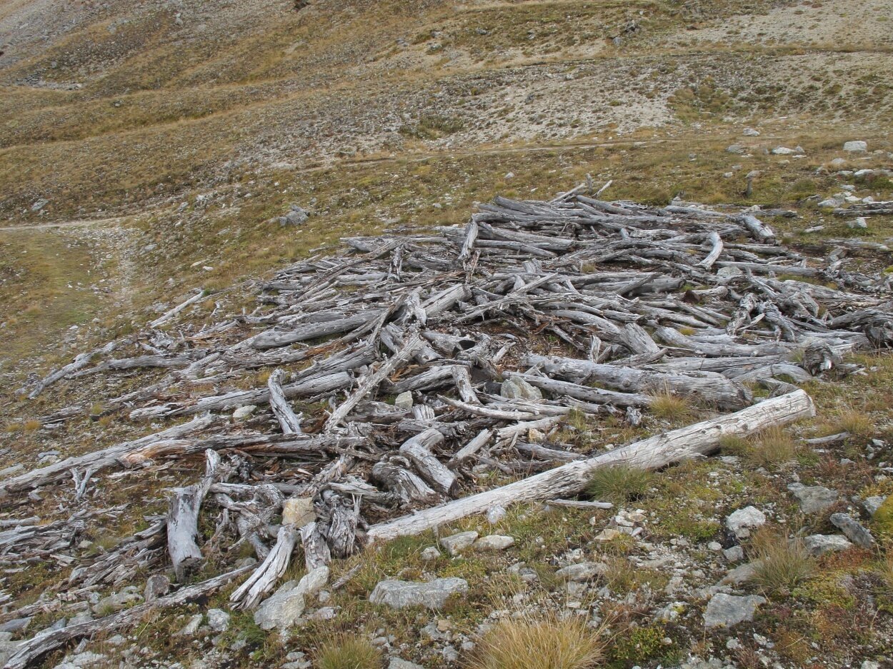 Img2 616364584 Default Variant