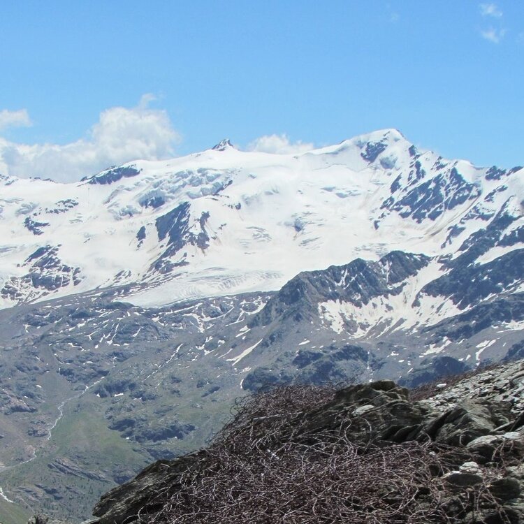 Stelvio Historical Trek: Zebrù Pass from Forni