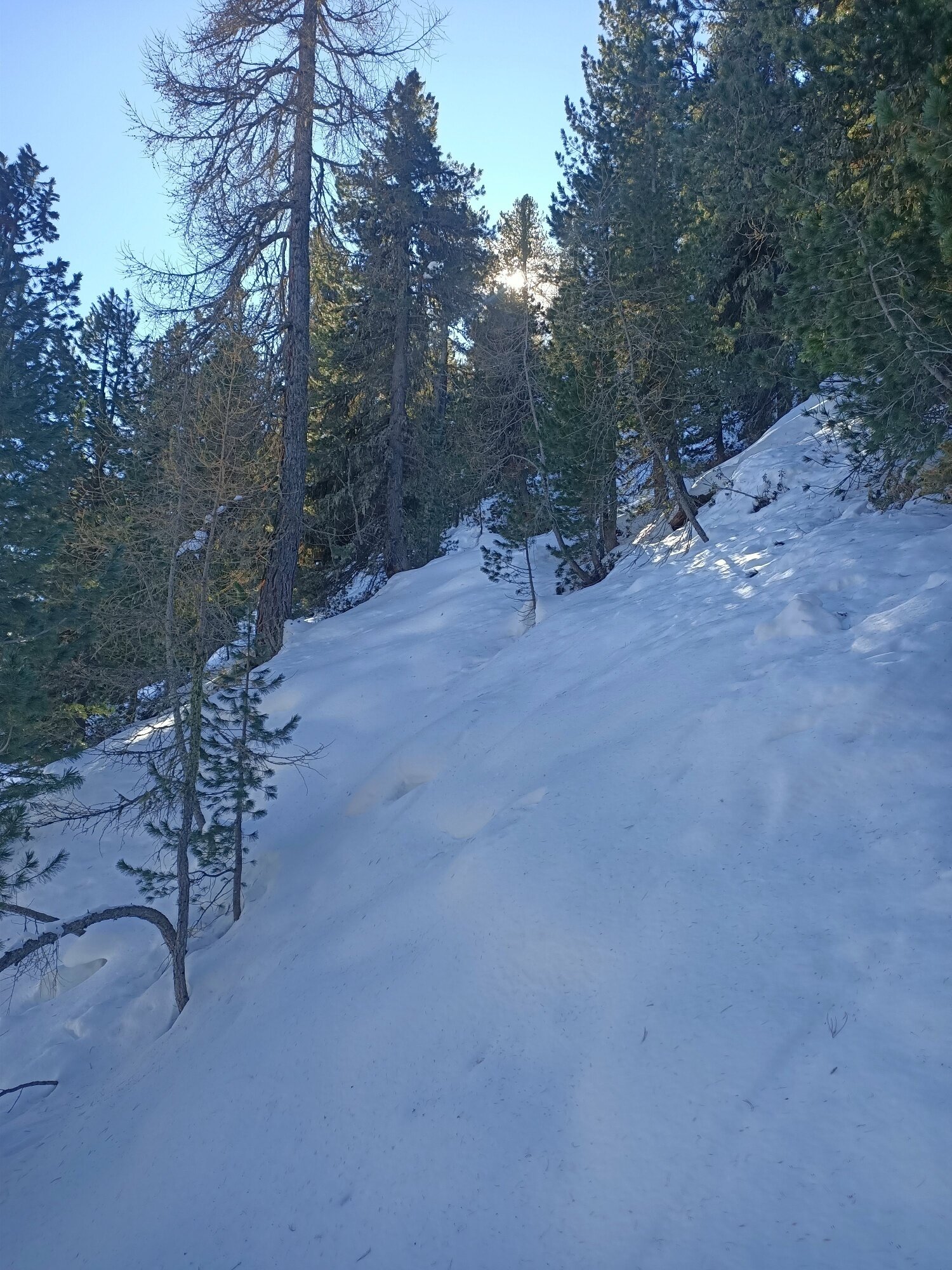 Img2 609869434 Default Variant