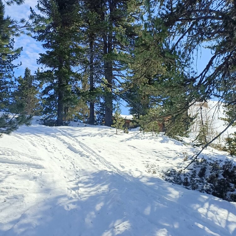 Stelvio Natural Skimo Trail - Conca Bianca - Cuna Alta