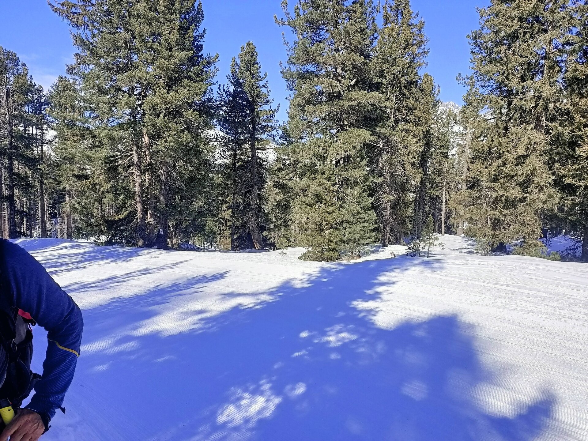 Img2 609869431 Default Variant