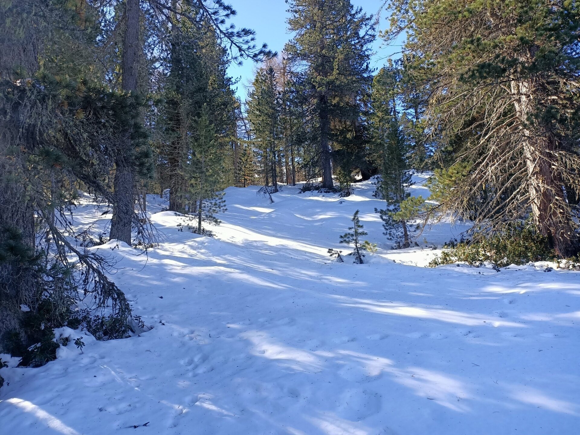 Img2 609869433 Default Variant