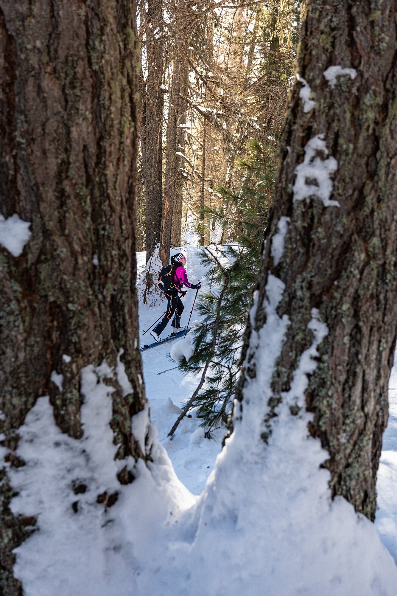 Img2 624630497 Default Variant