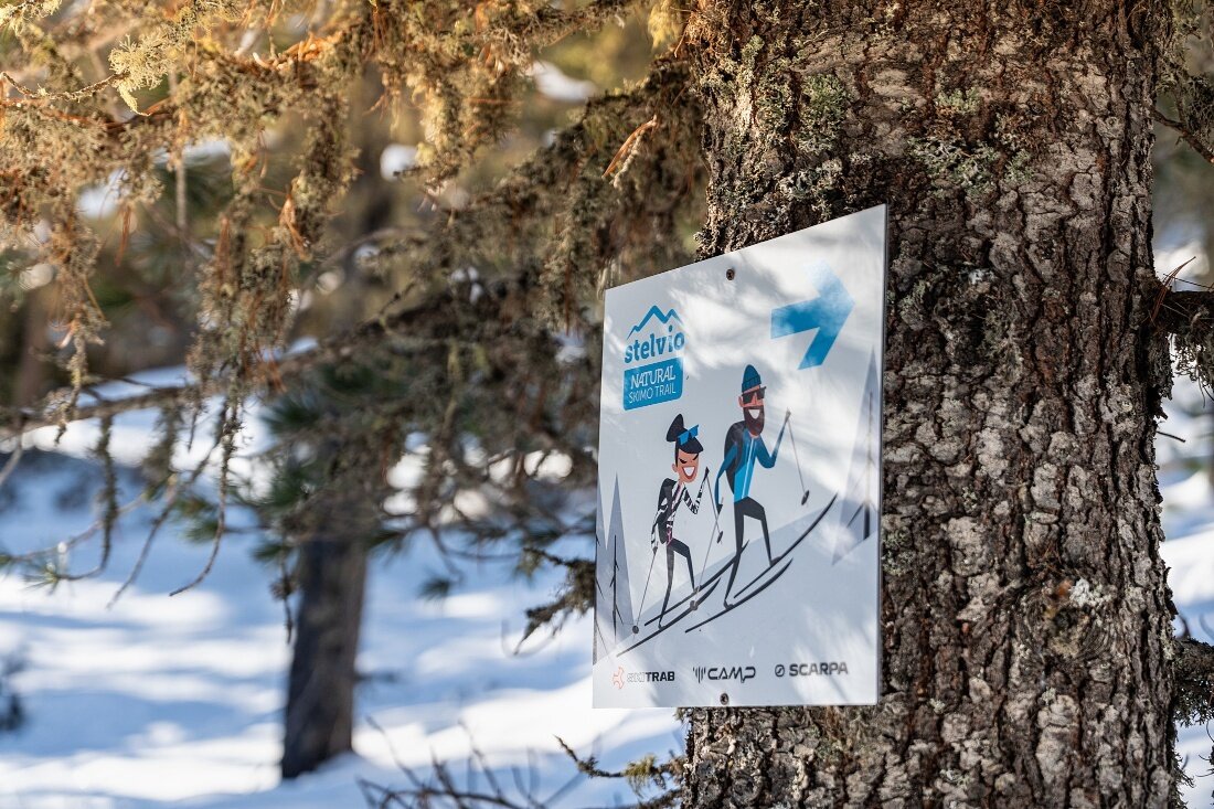 Img2 624630498 Default Variant