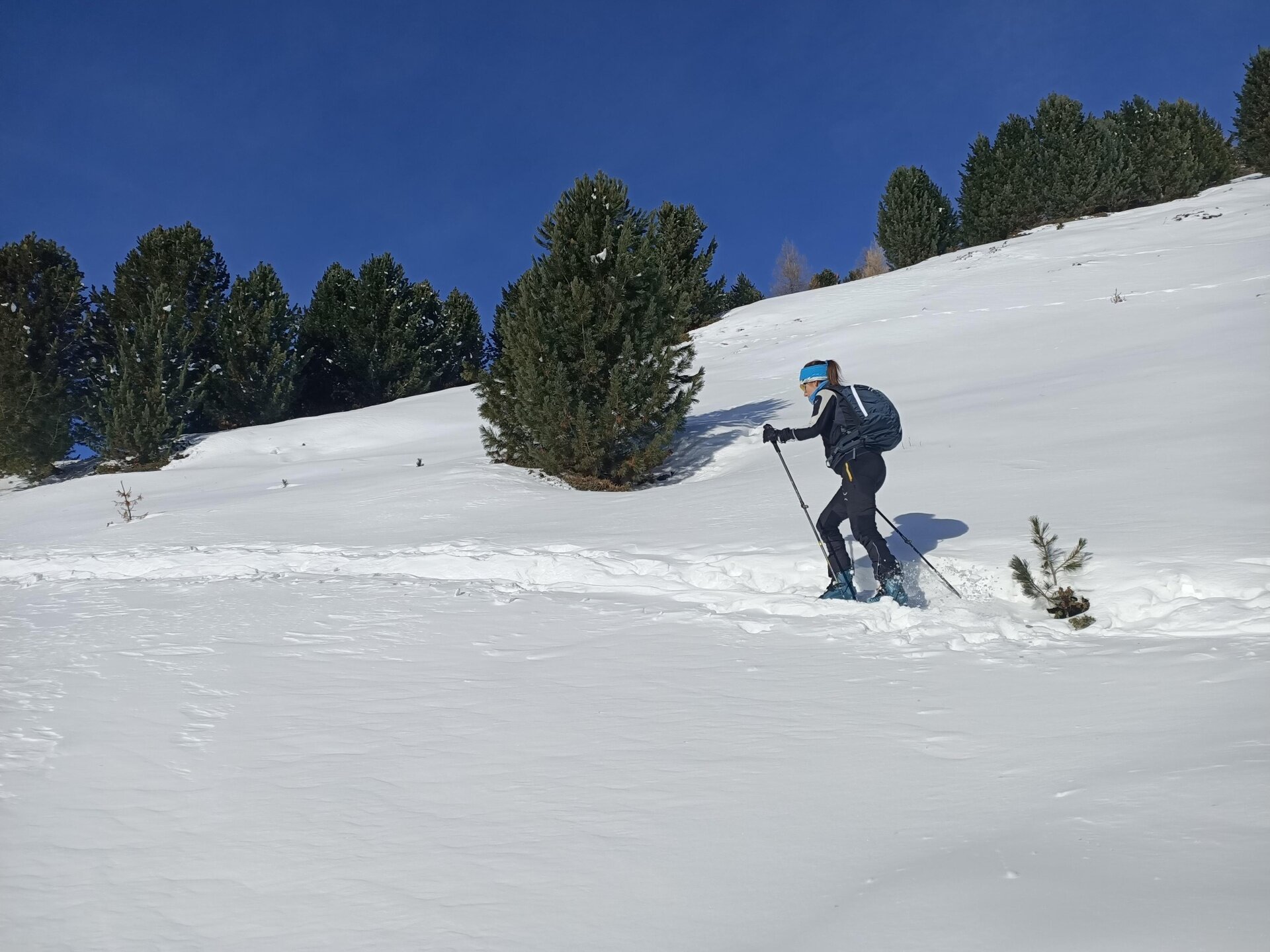 Img2 604647955 Default Variant