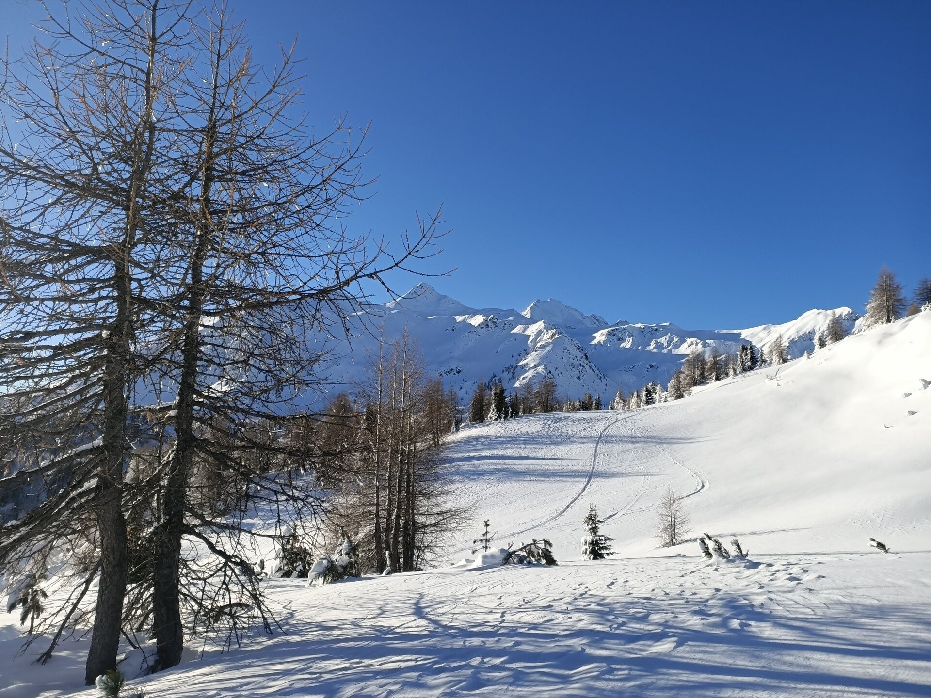 Img2 603972197 Default Variant