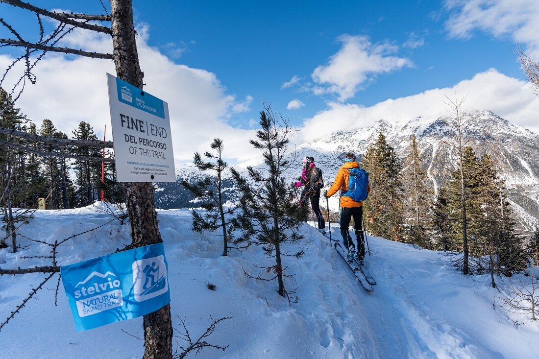 Img2 624630547 Default Variant