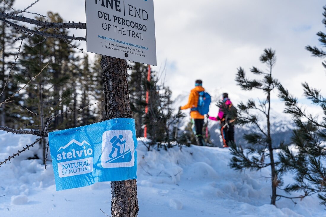 Img2 624630549 Default Variant