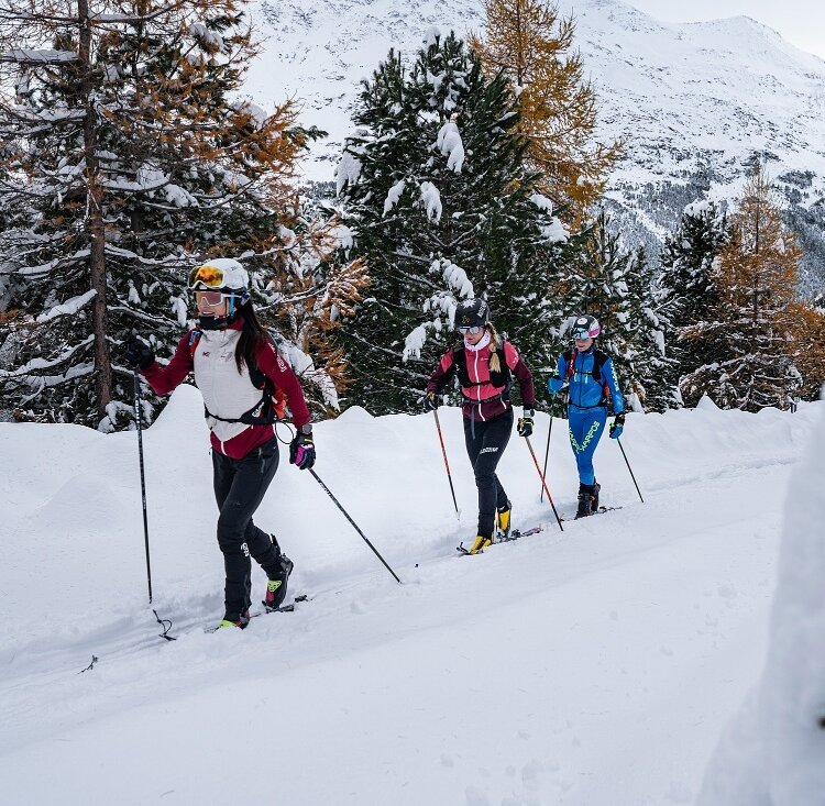 Stelvio Natural Skimo Trail - Santa Caterina - La Linea