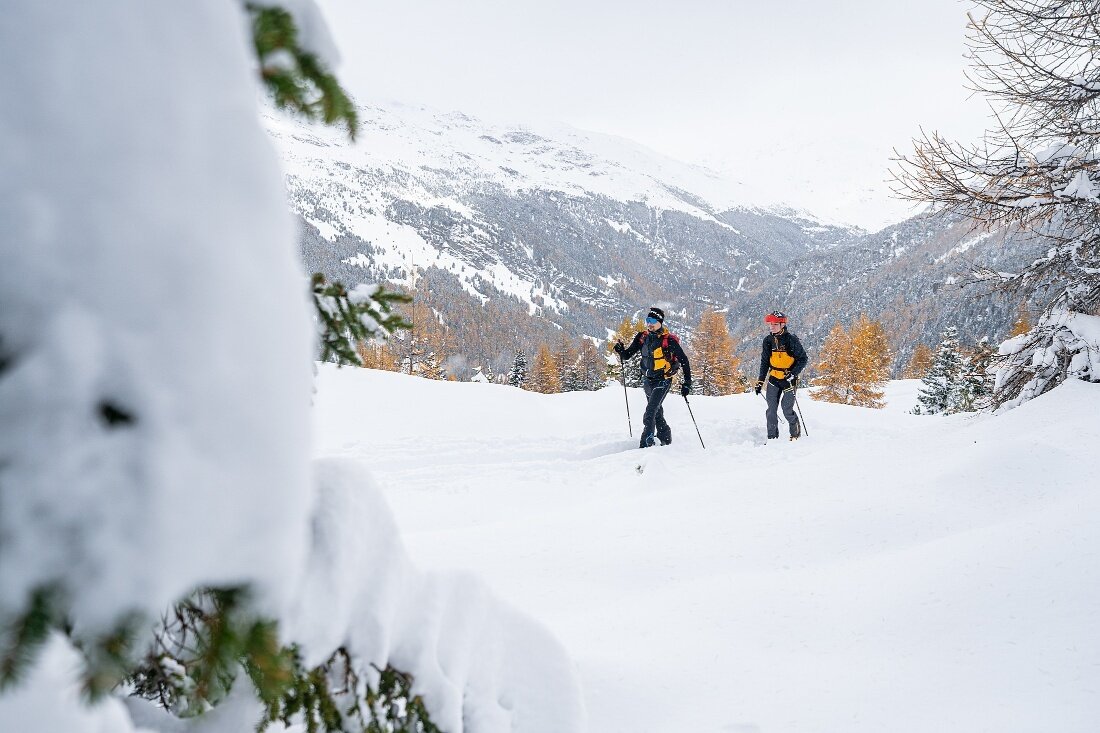 Img2 607879716 Default Variant