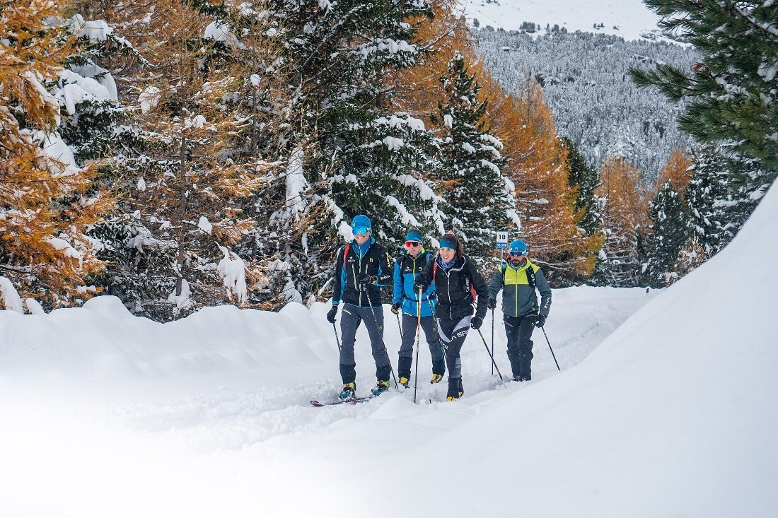 Img2 607879717 Default Variant