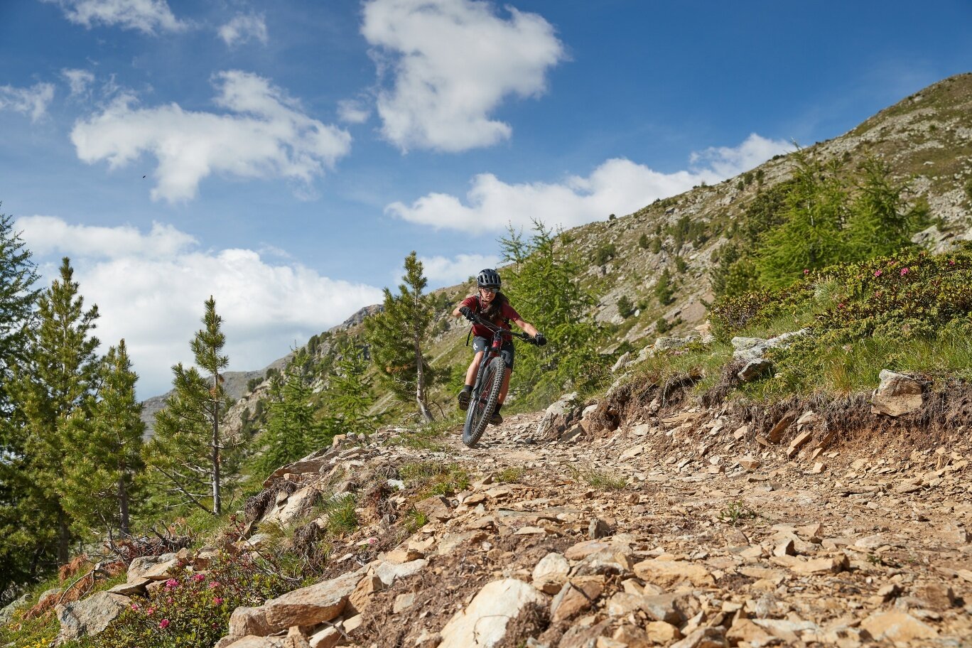 Img2 614655444 Default Variant