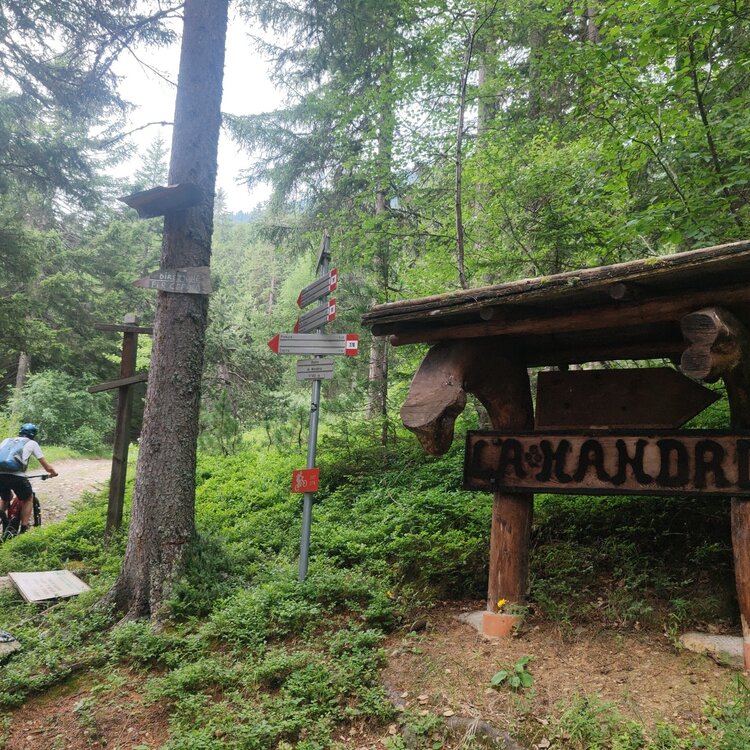 Stelvio Natural Trail: La Mandria