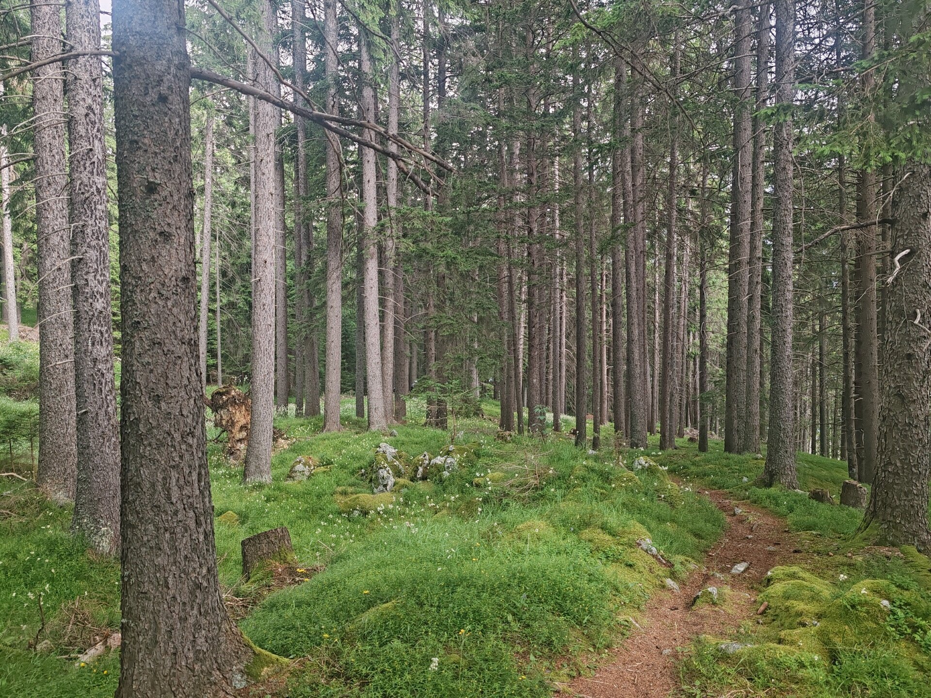 Img2 616370549 Default Variant