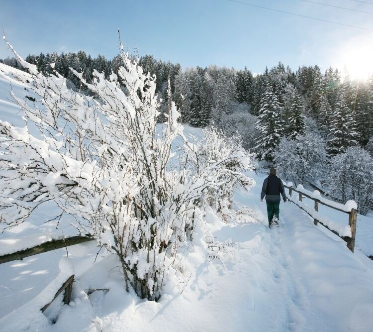 Stelvio Natural Winter Walk: Oga  - Tade'