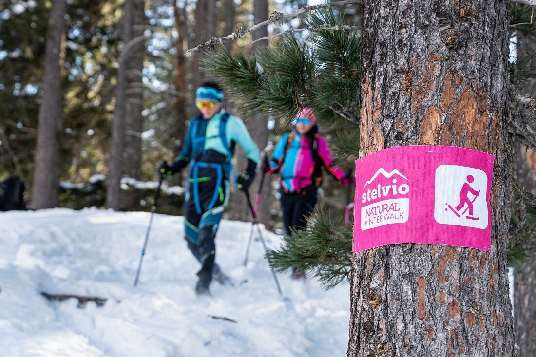 Img2 625431191 Default Variant