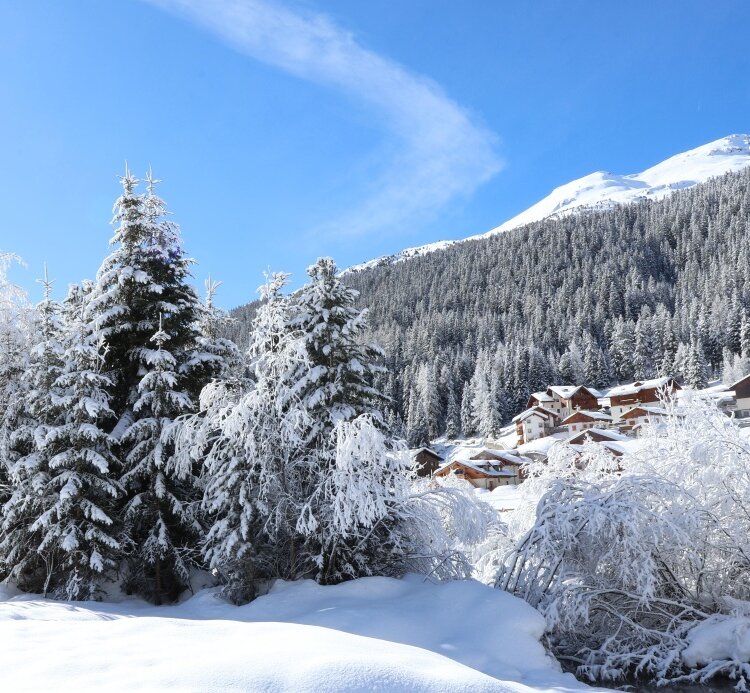 Stelvio Natural Winter Walk Sentiero Dei Fiocchi 804595735