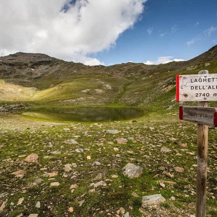 Sunny Valley Laghetto dell'alpe