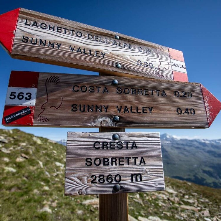 Sunny Valley Cresta Sobretta
