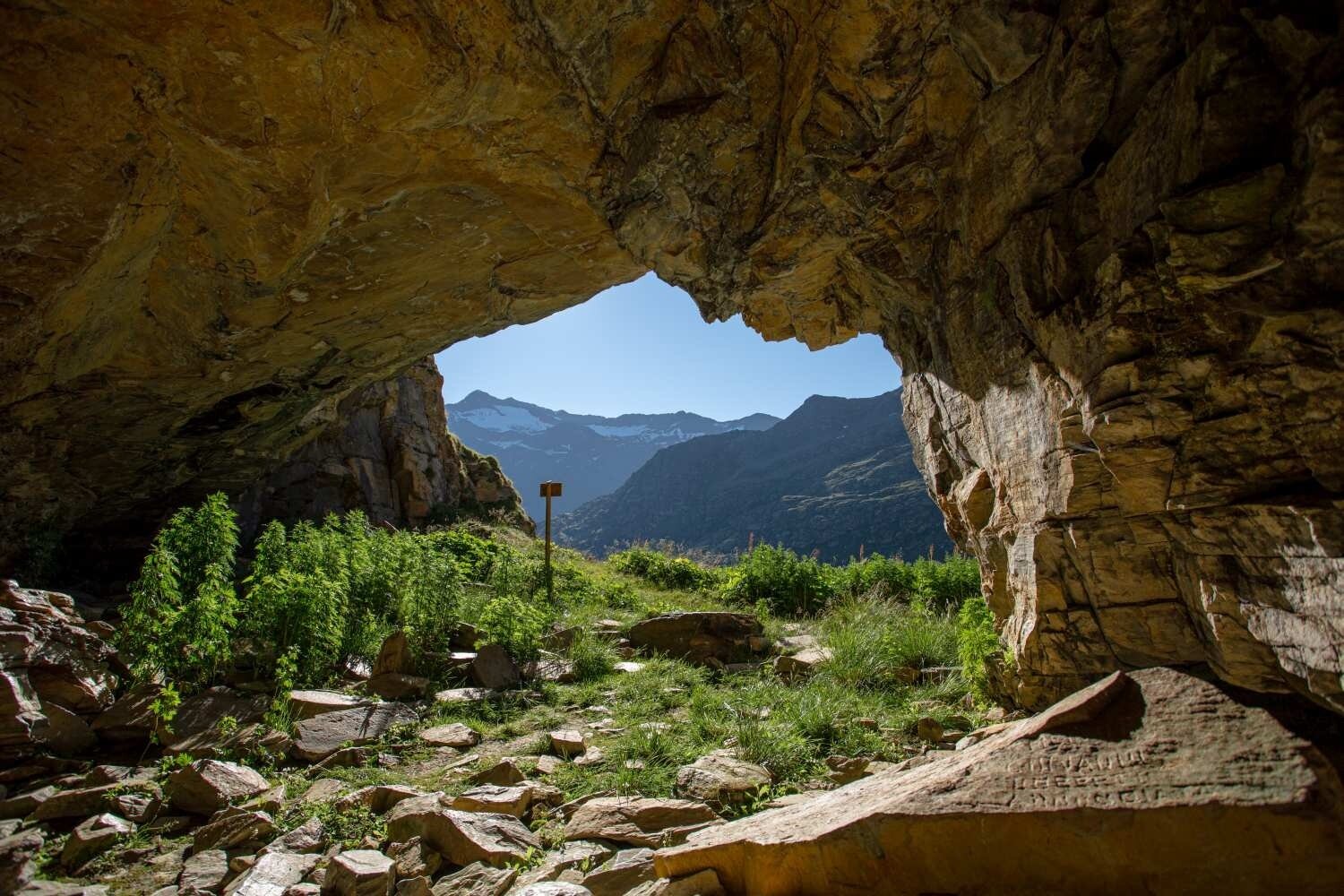 Img2 96365268 Default Variant