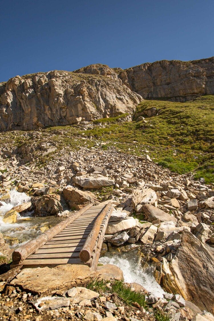 Img2 96364497 Default Variant