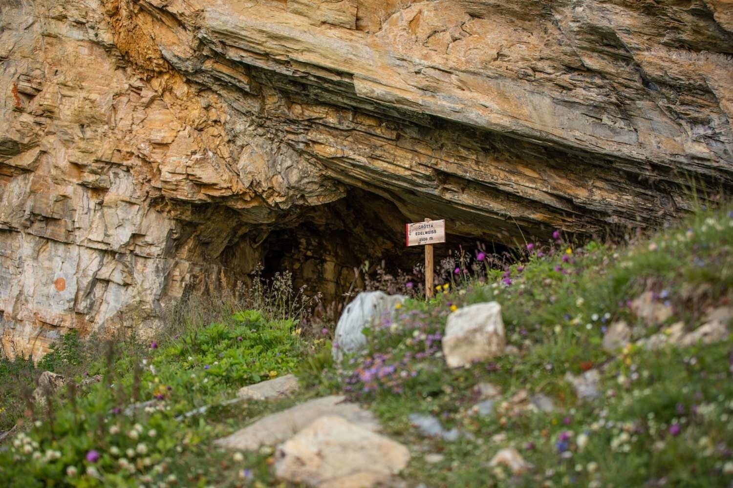 Img2 96364504 Default Variant