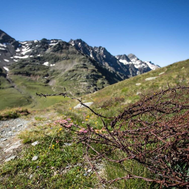 Sunny Valley - Grande Guerra