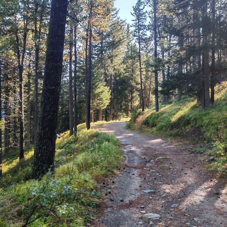 TEST_Water route - Bormio 2,000