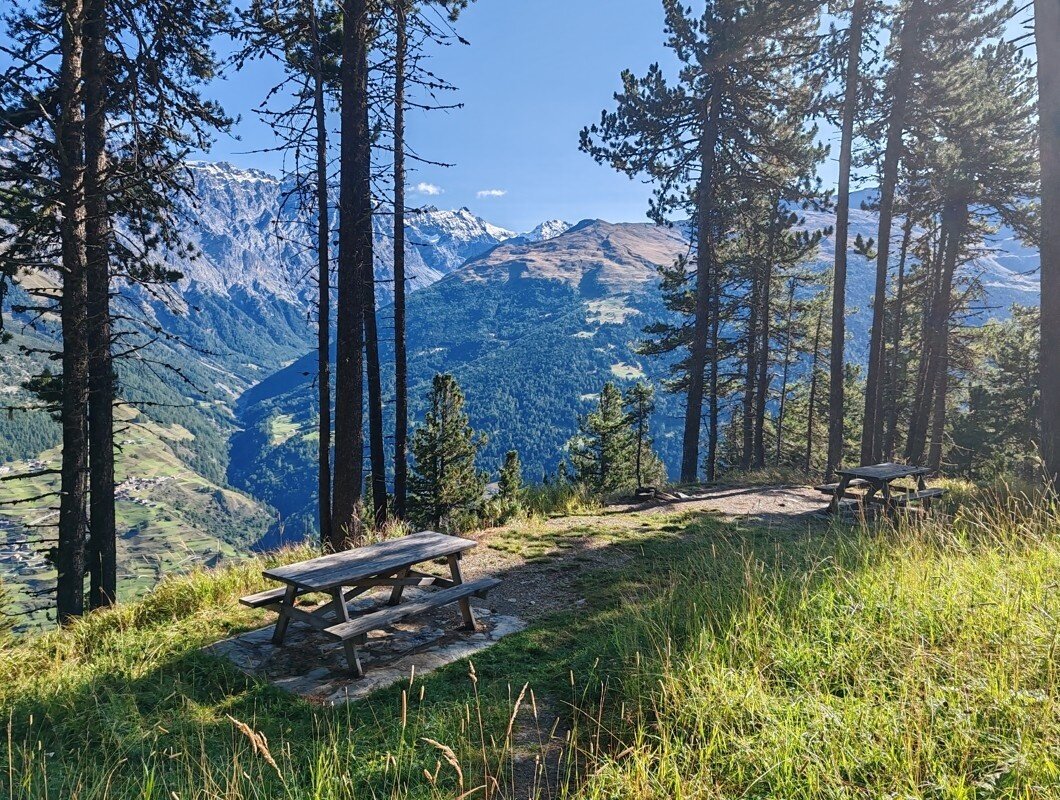 Img2 620056717 Default Variant