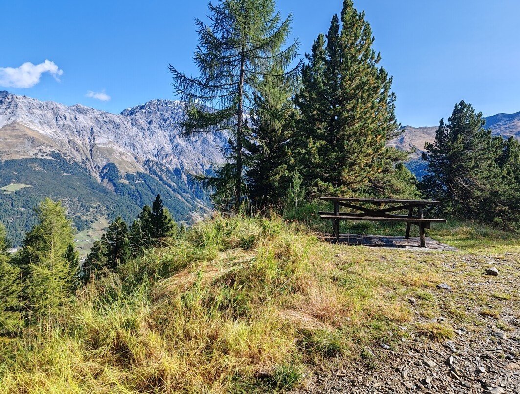 Img2 620056721 Default Variant