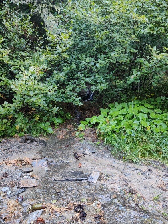 Img2 620056724 Default Variant