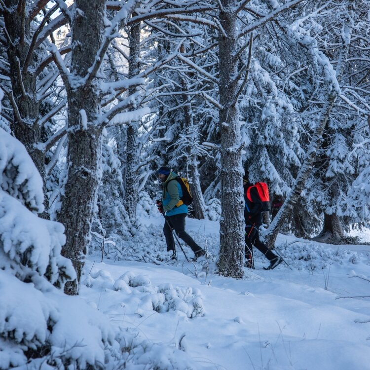 The Aprica-Pisc&eacute; trail