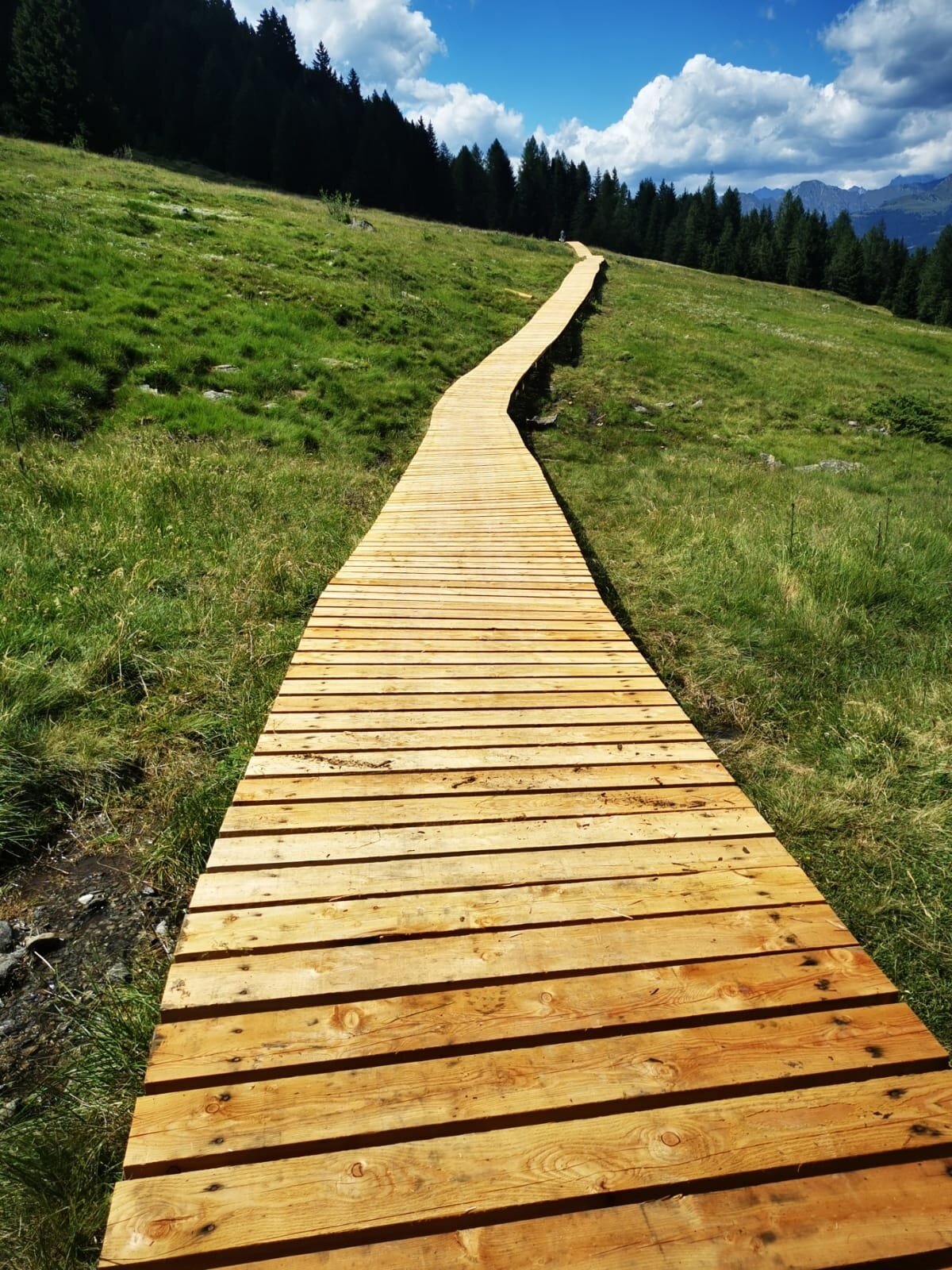 Img2 96364610 Default Variant