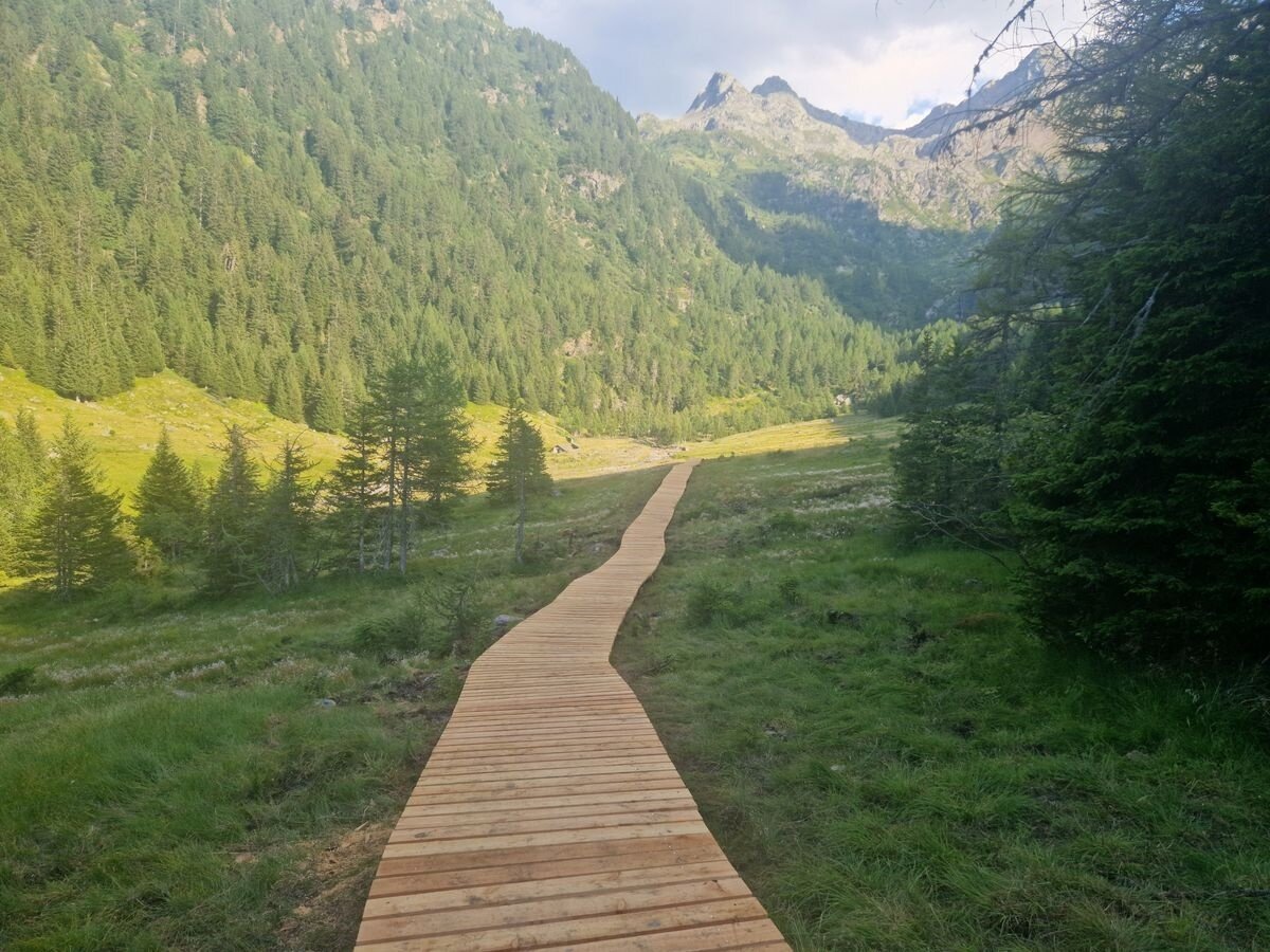 Img2 96364613 Default Variant