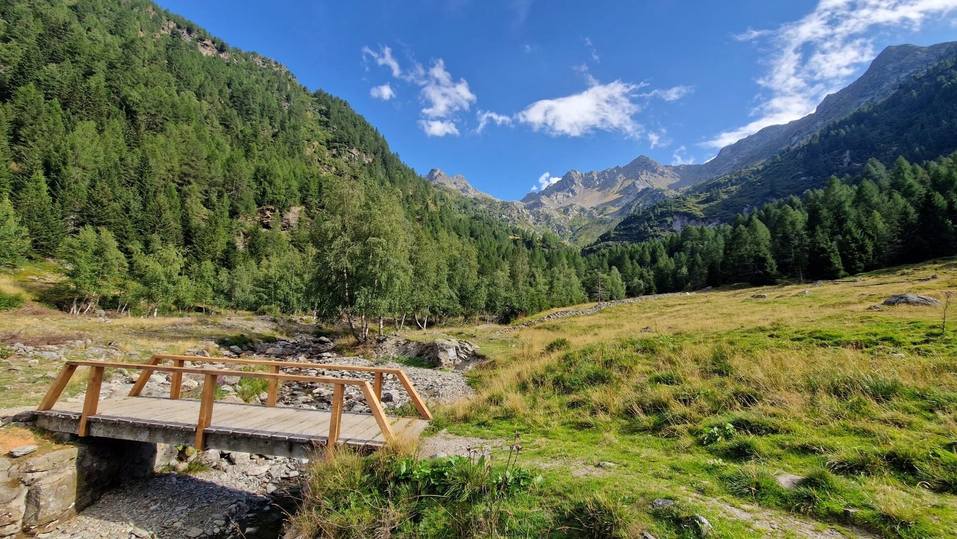 Img2 96364629 Default Variant