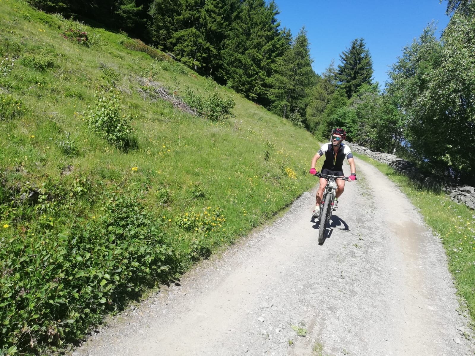 Img2 96364092 Default Variant