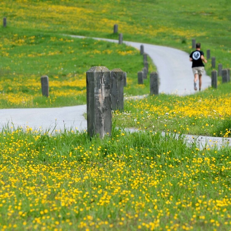The bike path